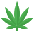 Mary Jane Jobs Logo